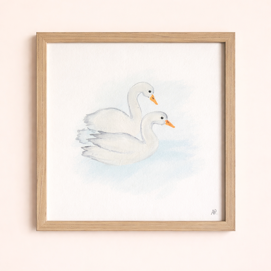 Le couple de cygnes
