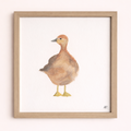 Le canard