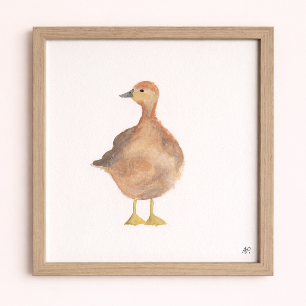 Le canard